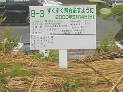 �L�O�̖��D